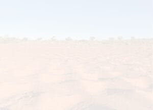 Bright, overexposed landscape image with a barely visible horizon line, suggesting a flat terrain. Sparse, faint trees appear in the distant background under a pale sky.