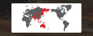 A world map highlights China, North Korea, and parts of Southeast Asia and Oceania in red, while the rest of the world is depicted in gray. Please share it for better analysis to identify key regions effectively.