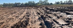 A muddy field with deep tire tracks, evidence of recent compaction efforts, extends toward a distant tree line. The sky is clear, and the lighting suggests a sunny day.