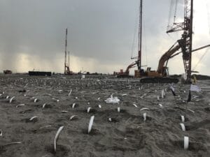 A construction site on sandy terrain features numerous vertical white tubes protruding from the ground, showcasing the process of High Energy Impact Compaction. Two large cranes and an excavator stand in the background under a cloudy sky.